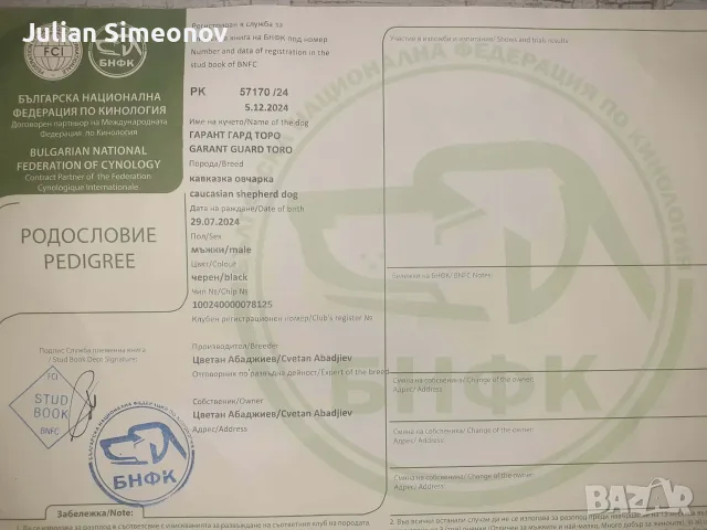 МЪЖКА КАВКАЗКА ОВЧАРКА , снимка 6 - Кавказка овчарка - 56161612