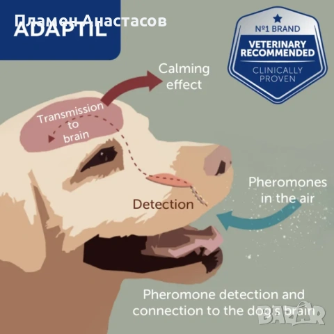 Adaptil Refill - 3 броя пълнители за дифузер (90 дни), успокояващи феромони за кучета, снимка 3 - За кучета - 53261539