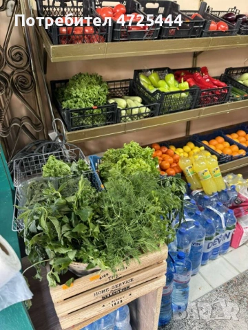 Отдава под наем магазин разработен Плод-Зеленчук Център гр. Бургас, снимка 5 - Магазини - 53304395