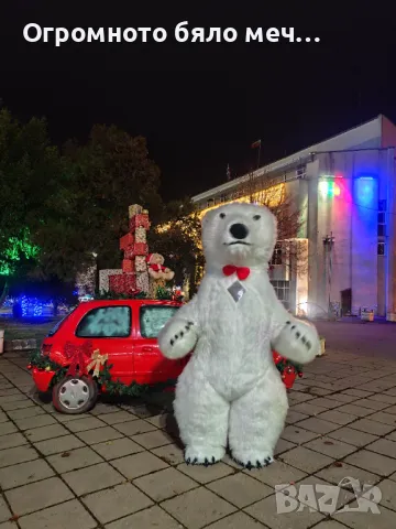 Изненада с огромно бяло мече, снимка 2 - Други - 45824619