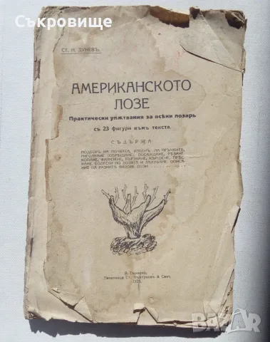 Американското лозе - практически упътвания за всеки лозар - антикварна книга от 1929 година
