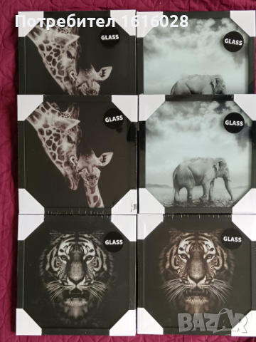 Нови квадратни рамки за снимки или картини с тигър,жираф и слон.