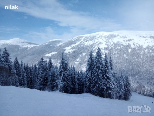 Преподавам Индивидуални уроци по ски , снимка 5 - Спорт, танци, изкуство - 38915802