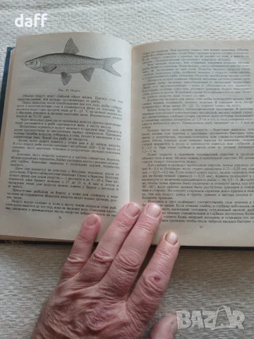 Настолна книга на рибаря, снимка 5 - Здраве, медицина и спорт - 56137583