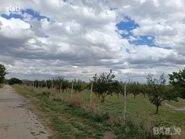 Овощна градина сорт Стенлей , снимка 3 - Земеделска земя - 56184994