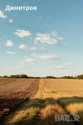 Продавам поземлен имот в землището на с. Мусачево, град София 13.1 дка на 600м от потбалкански път, снимка 2 - Земеделска земя - 51483975