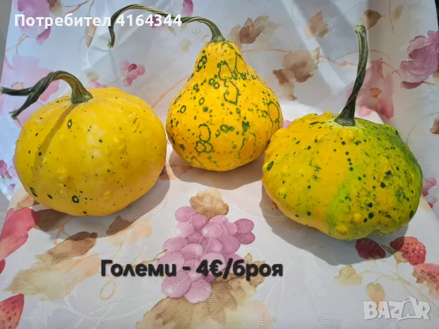 Естествени декоративни тикви, снимка 8 - Декорация за дома - 55722322