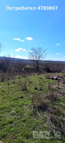 Парцел, снимка 3 - Парцели - 54011657