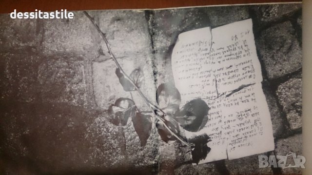 Грамофонни плочи, снимка 11 - Грамофонни плочи - 37789416