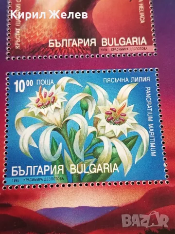 Пощенски блок марки чисти КОНФЕРЕНЦИЯ ОКОЛНА СРЕДА ЗА ЕВРОПА за КОЛЕКЦИОНЕРИ 46314, снимка 3 - Филателия - 47757621