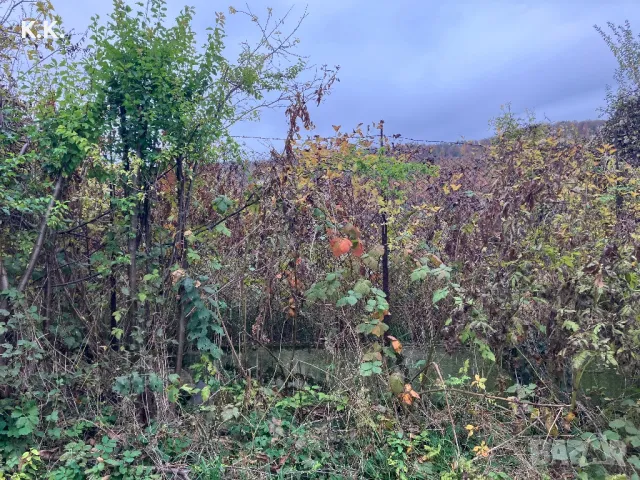 Парцел на 5 км.от Троян., снимка 6 - Парцели - 47823830