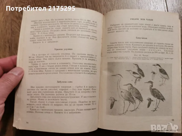Наръчник на ловеца и риболовеца-Земиздат 1974г., снимка 11 - Специализирана литература - 49699300