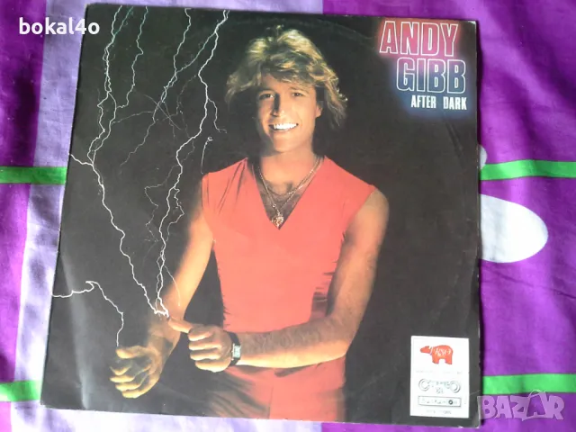 Andy Gibb, снимка 1 - Грамофонни плочи - 48822985