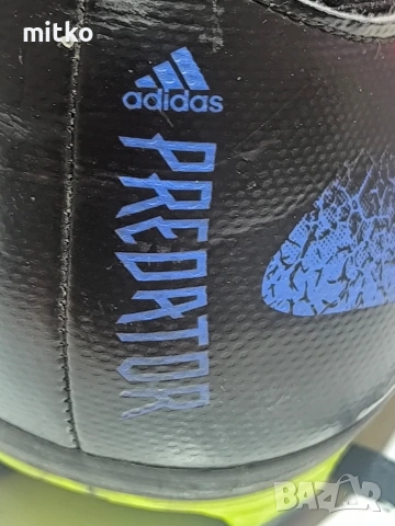 adidas predator 43 