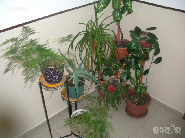 фотоапарат Sanyo Vpc E10ex   10МРх, снимка 15 - Фотоапарати - 51513394