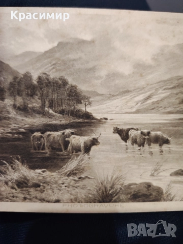 ПОЩЕНСКА Картичка Швейцария. , снимка 6 - Филателия - 52778234