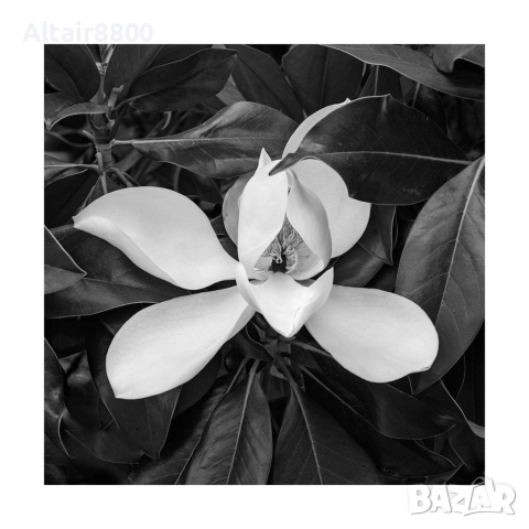 [Обслужен] Nikon AF 24-70mm f/2.8D Nikkor обектив Никон, снимка 12 - Обективи и филтри - 52879199