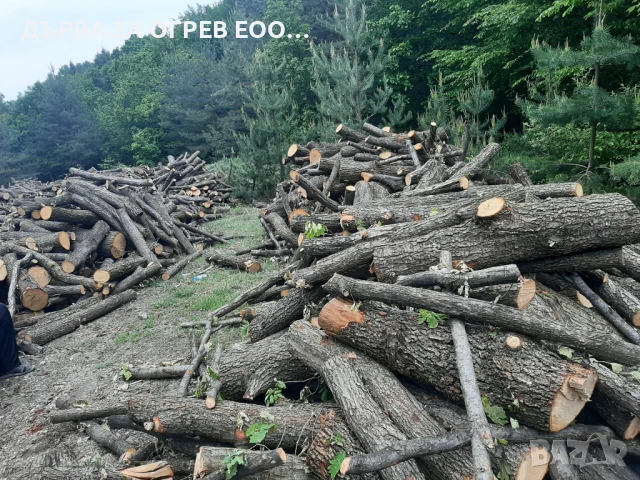 ‼️ПРОДАВАМ ДЪРВА ЗА ОГРЕВ МЕТРОВКИ ДЪБ ‼️НА СУПЕР ИЗГОДНА ЦЕНА ‼️‼️105ЛВ КУБИКА ДОСТАВКА ДО АДРЕС 🚛, снимка 2 - Дърва за огрев - 51008952