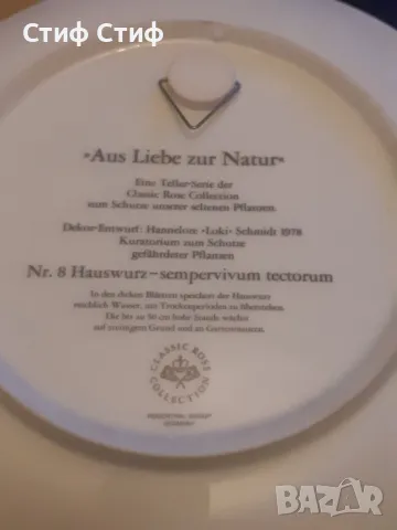  Ботаника Rose collection, снимка 6 - Други - 48721156