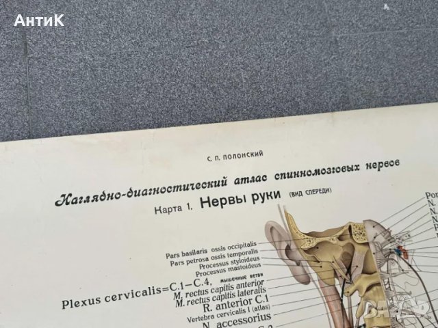 Комплект Соц Медицински Плакати 1951 година, снимка 8 - Антикварни и старинни предмети - 49938826