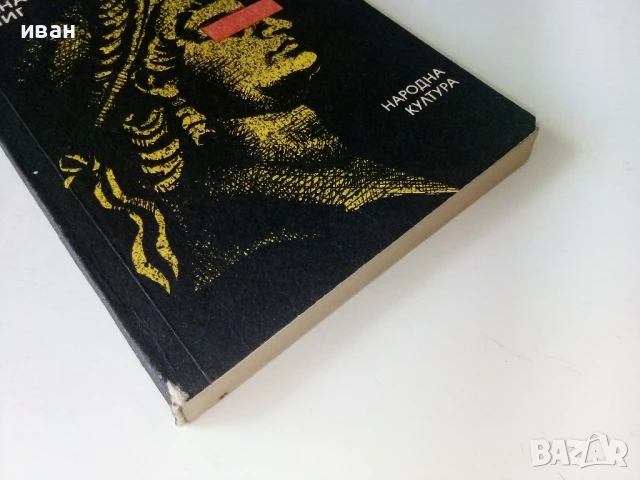 Младият Бог - Алма Йохана Кьонинг - 1989г., снимка 5 - Художествена литература - 50695103