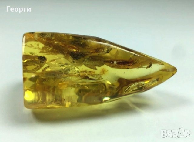 Най високо качество Балтийски кехлибар със запазени насекоми., снимка 6 - Други ценни предмети - 31554272