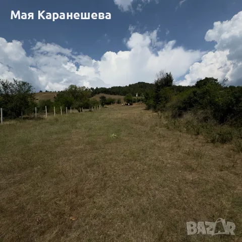 Продавам имот в град Белица, снимка 2 - Парцели - 55821668