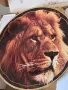 колекционерска порцеланова чиния Лъв Royal Doulton 18/4, снимка 2