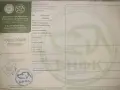 МЪЖКА КАВКАЗКА ОВЧАРКА , снимка 6