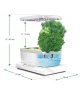 Домашна градина отглеждане на билки AeroGarden, снимка 2