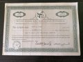 Сертификат за притежание на 26 акции (САЩ) | South Coast Life Insurance | 1963г., снимка 1 - Други ценни предмети - 34876308