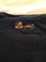 Блузка Desigual, снимка 7