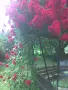 Двуетажна къща с овощна градина, снимка 4