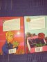 Книжки, снимка 2