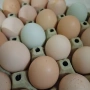 домашни яйца , снимка 3