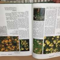 Енциклопедия A-Z of Annuals, Biennials & Bulbs (Successful Gardening), снимка 4 - Енциклопедии, справочници - 30873162