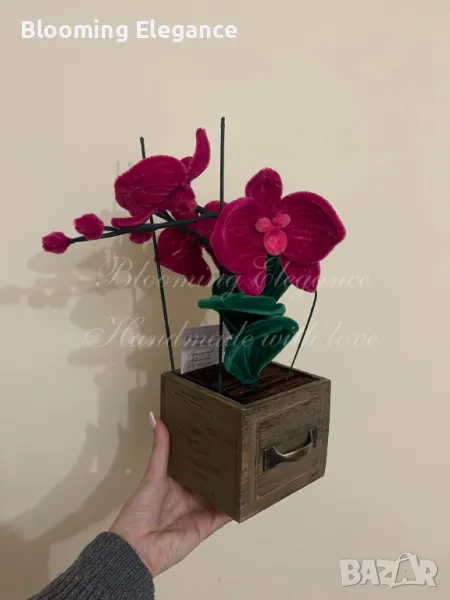 Орхидея-символ на любовта, снимка 1