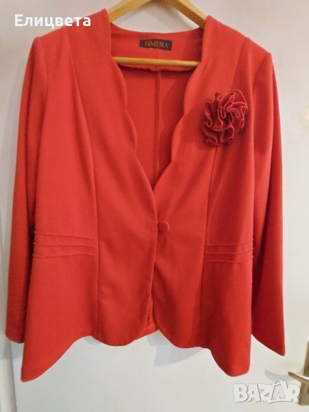сако, снимка 1