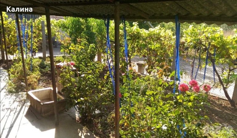 House for Sale in Babuk, Silistra