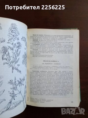 Нашите лекарствени растения част 2, снимка 7 - Специализирана литература - 50600185