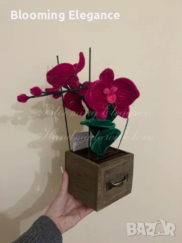 Орхидея-символ на любовта