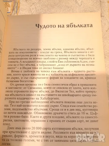 Ябълката  - Вълшебният плод на Здравето, снимка 3 - Други - 47333771