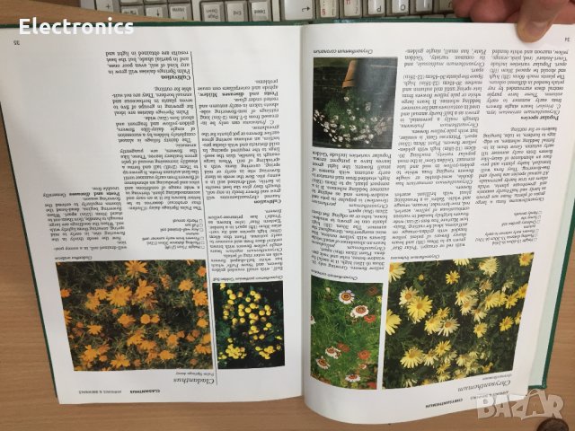 Енциклопедия A-Z of Annuals, Biennials & Bulbs (Successful Gardening), снимка 4 - Енциклопедии, справочници - 30873162