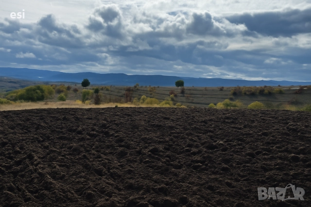 Рента 100 лв - 5 до 10 Декара по ваш избор Земеделска земя Варна – Дългопол - от Собственик, снимка 3 - Земеделска земя - 51492770