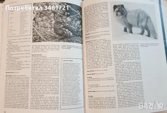 Голяма ловна енциклопедия / The International Encyclopedia of Shooting, снимка 13 - Енциклопедии, справочници - 49760438