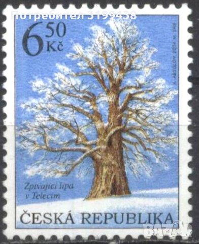 Чиста марка Флора Дърво Пеещата липа в Телачи 2004 от Чехия, снимка 1 - Филателия - 34421798