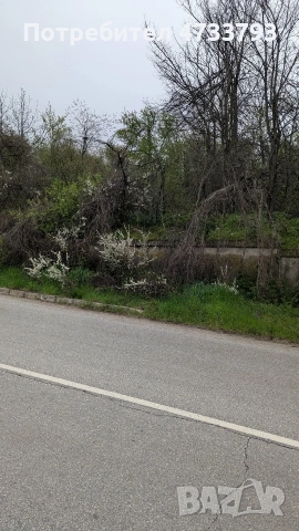 Продавам парцел 720 кв.м.със къща 60 кв.м,която подлежи евентуално за събаряне., снимка 7 - Парцели - 53424951