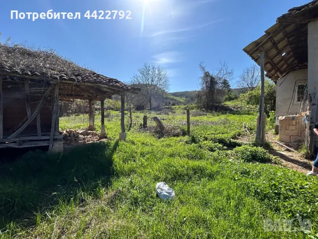 Парцел с стара къща , снимка 6 - Къщи - 49977807