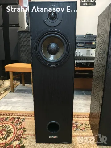 Visaton ALTO II Двулентови Тонколони, снимка 4 - Тонколони - 50282271