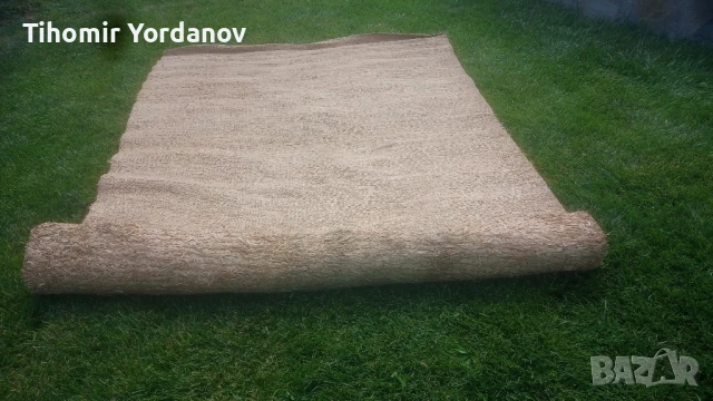 Рогозка.( царевична шума)., снимка 12 - Антикварни и старинни предмети - 50785820